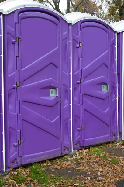 Best Portable Toilets with Baby Changing Stations  in Dousman, WI